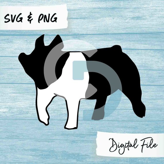 Download Hampshire Show Pig Digital File | Etsy
