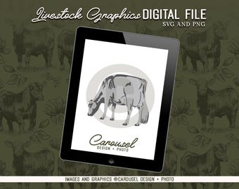 Dairy Cow Illustration Livestock Graphic - Digital File PNG & SVG