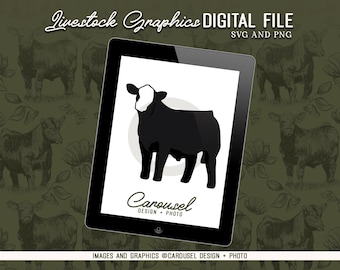 Show Calf Livestock Graphic - Digital File PNG & SVG
