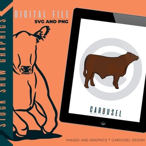 ABC Show Steer Livestock Graphic - Digital File 2024.6