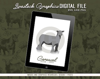 Show Lamb Livestock Graphic - Digital File 2024