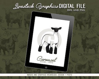 Original Show Lamb Commercial Ewe Livestock Graphic - Digital File