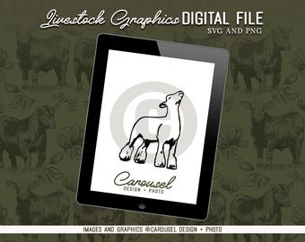 Market Lamb Illustration Livestock Graphic - Digital File PNG & SVG
