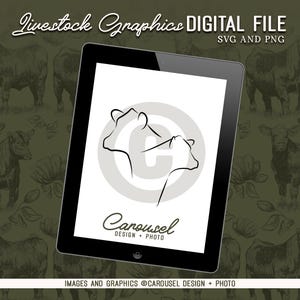 Show Cattle Head Shot Outline Livestock Graphic - Digital File Bundle