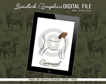 Show Goat Livestock Graphic - Digital File 2026.1