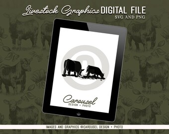 Cow Calf Pair Grazing Livestock Graphic - Digital File 2024