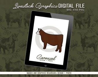 Show Heifer Livestock Graphic - Digital File PNG & SVG 2026.2
