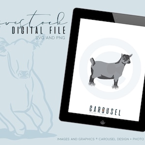 Pygmy Goat Livestock Graphic - Digital File 2025