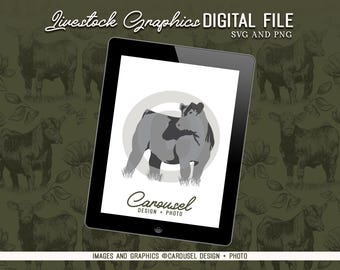 Show Calf Livestock Graphic - Digital File 2024