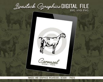 Dairy Goat Livestock Illustration Graphic - Digital File 2024.1
