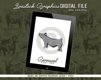 Grafika przedstawiająca hodowlę świń – plik cyfrowy 2024