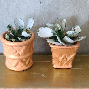 Dollhouse Terra Cotta potted plants