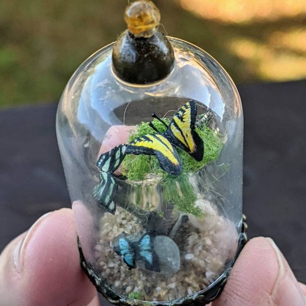 Miniature Glass Cloche Butterfly specimen