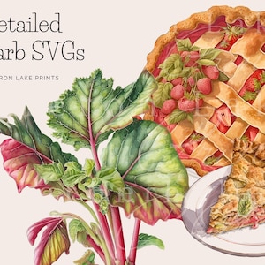 7 SVGs de torta de morango e ruibarbo, clipart de frutas, clipart de jardim, gráficos vetoriais para professores, álbum de recortes, cartões de receitas, projetos de artesanato