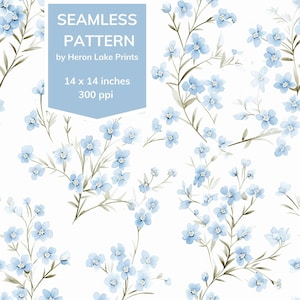 Forget-Me-Nots III Shabby Chic Floral Seamless Repetir patrón, estilo Cottagecore femenino, para POD, uso comercial, diseño de tela femenina
