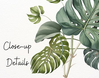 House Plants Clip Art in SVG, PDF, and PNG Formats. Potted Plants Clipart | Greenery | Plants Svg Bundle | Indoor Plant Clipart, Sublimation