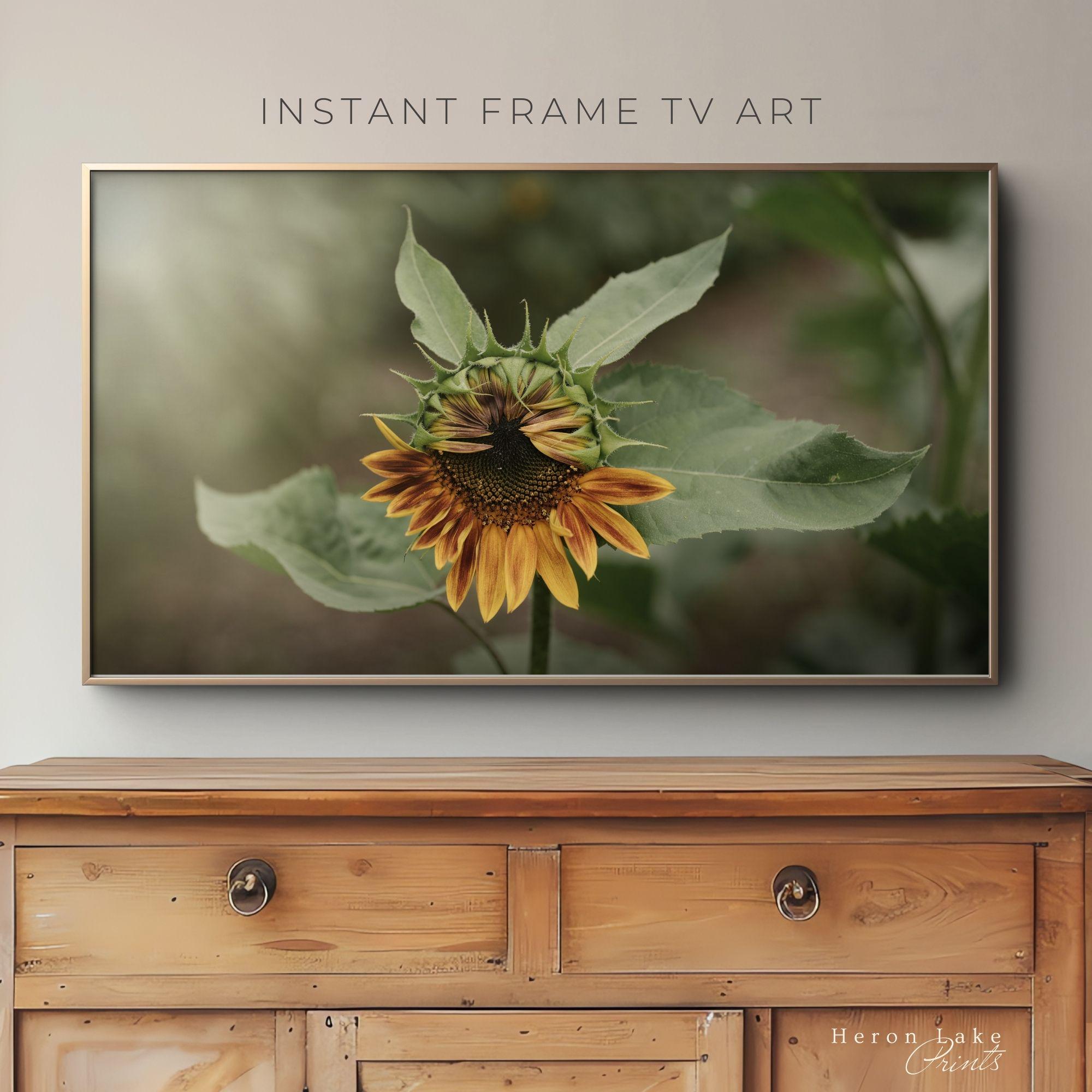 ヴィンテージひまわりフレームのテレビアート：キャロライン