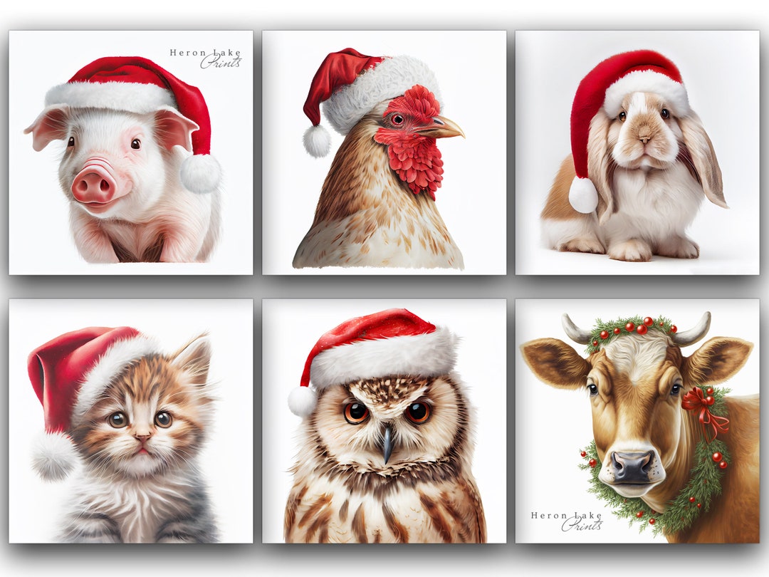 Six Square Christmas Farm Animals Wall Art Gallery Set | Funny and Cute
