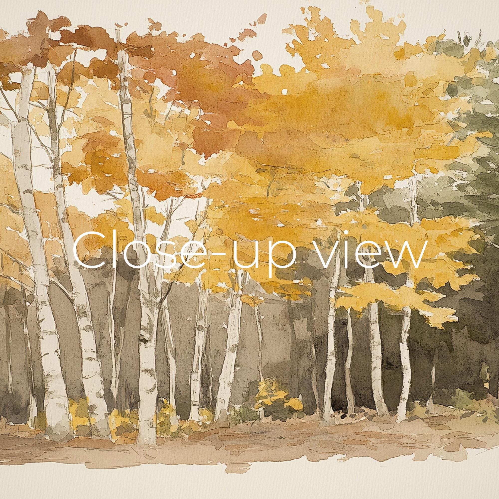 秋の白樺林の水彩画（テレビ用）（デジタルダウンロード） - Etsy 日本