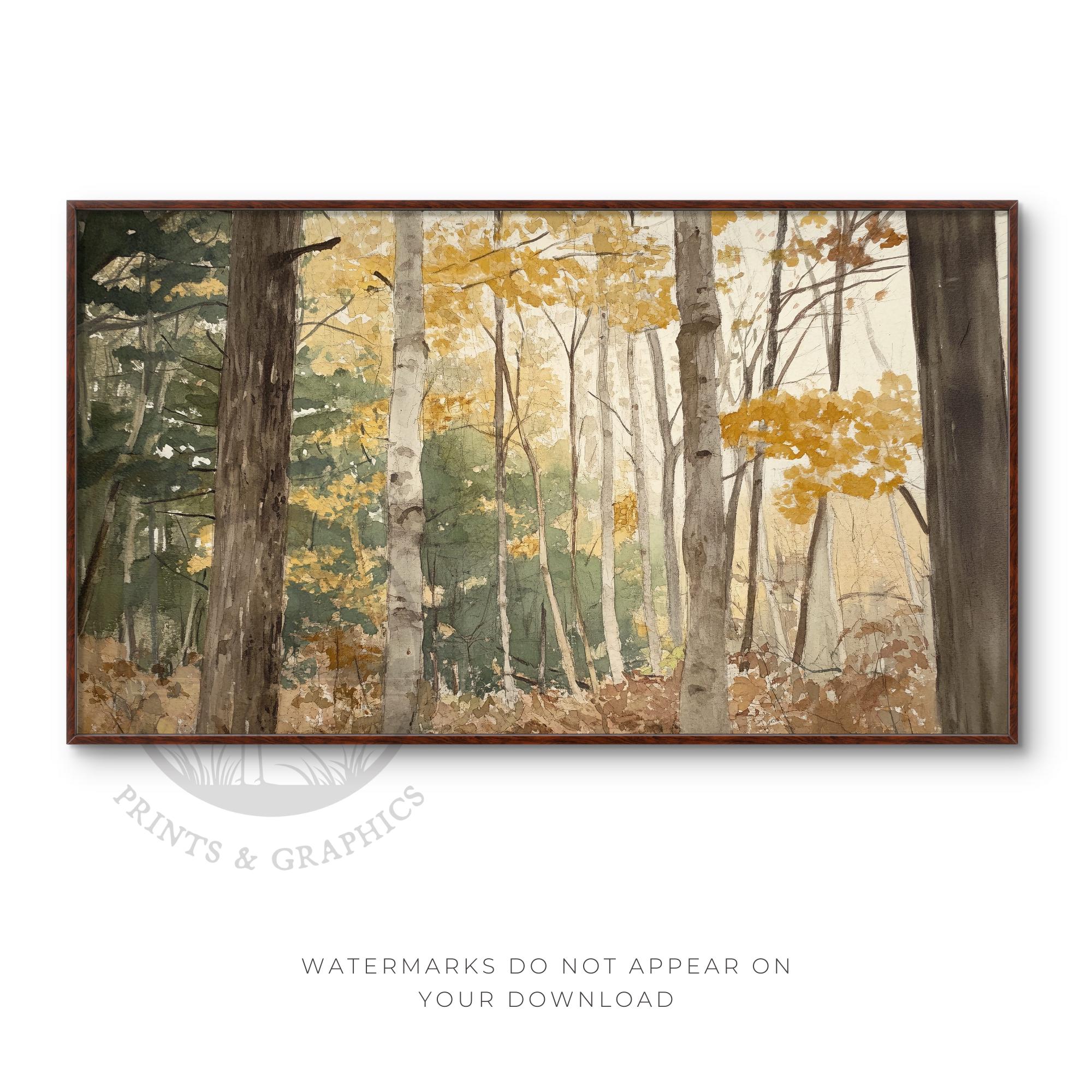 秋の白樺林の水彩画（テレビ用）（デジタルダウンロード） - Etsy 日本