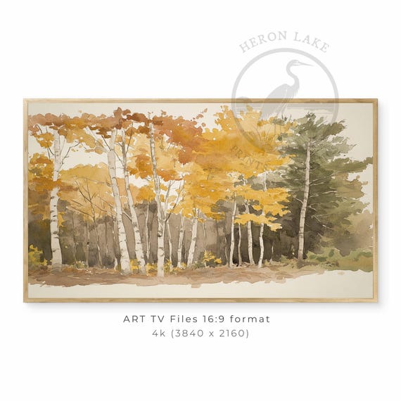 秋の白樺林の水彩画（テレビ用）（デジタルダウンロード） - Etsy 日本