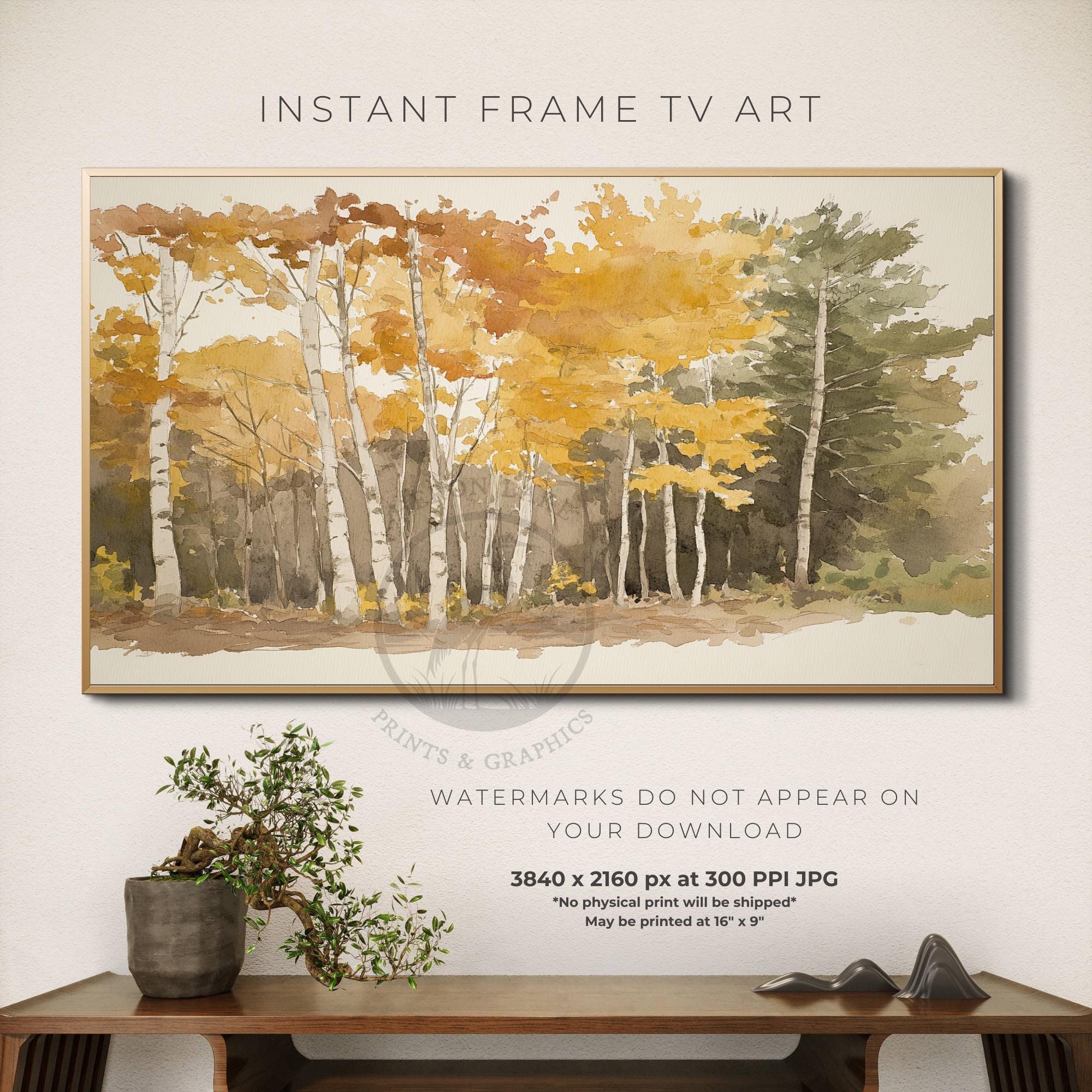 秋の白樺林の水彩画（テレビ用）（デジタルダウンロード） - Etsy 日本