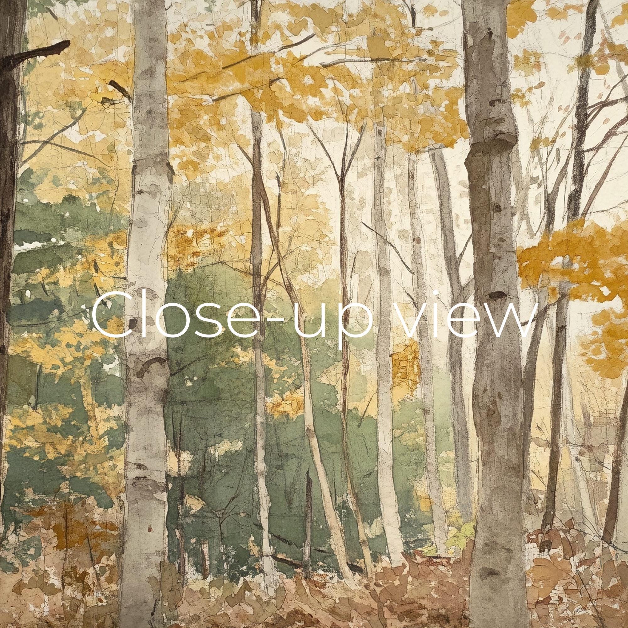 秋の白樺林の水彩画（テレビ用）（デジタルダウンロード） - Etsy 日本