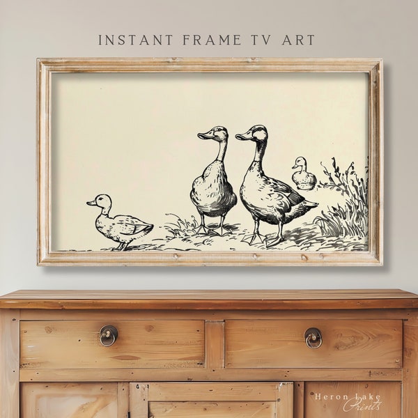 Frame TV Art Ducks Spring Illustration 16X9 Samsung Frame TV Art Duckling Frame Art | Digital, Storybook Art Wallpaper, Minimalist Art