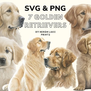 Golden Retriever Dog Clip Art, Set of Seven, SVG & PNG, for Printing and Crafting