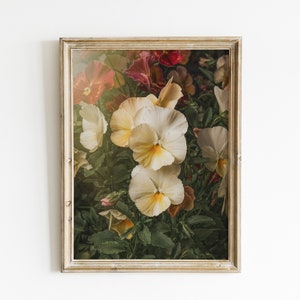 Weiße Stiefmütterchen Blume Garten Fotografie: Florale Wandkunst (Instant Download)