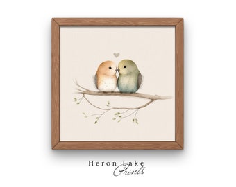 Impresión artística con ilustración de agapornis, regalo para amantes de las aves (descarga digital)