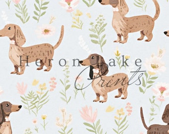 May include: A seamless pattern featuring brown and white dachshund dogs with floral accents on a light blue background. The dogs are wearing collars with bows. The flowers are in shades of pink, yellow, and white.
