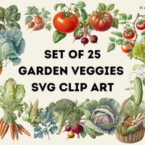 25 Vintage Inspired Veggie Garden SVGs Bundle, Garden Vegetable Graphics, Lettuce, Tomatoes, Broccoli, Corn, Kale, Cabbage, Beets, Cabbage