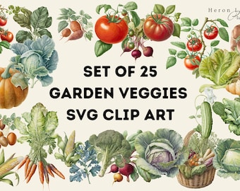 その他 VINTAGE CALIFORNIA FREE FORM VEGETABLE Signature SELECT California Style Vegetables - 16 Oz