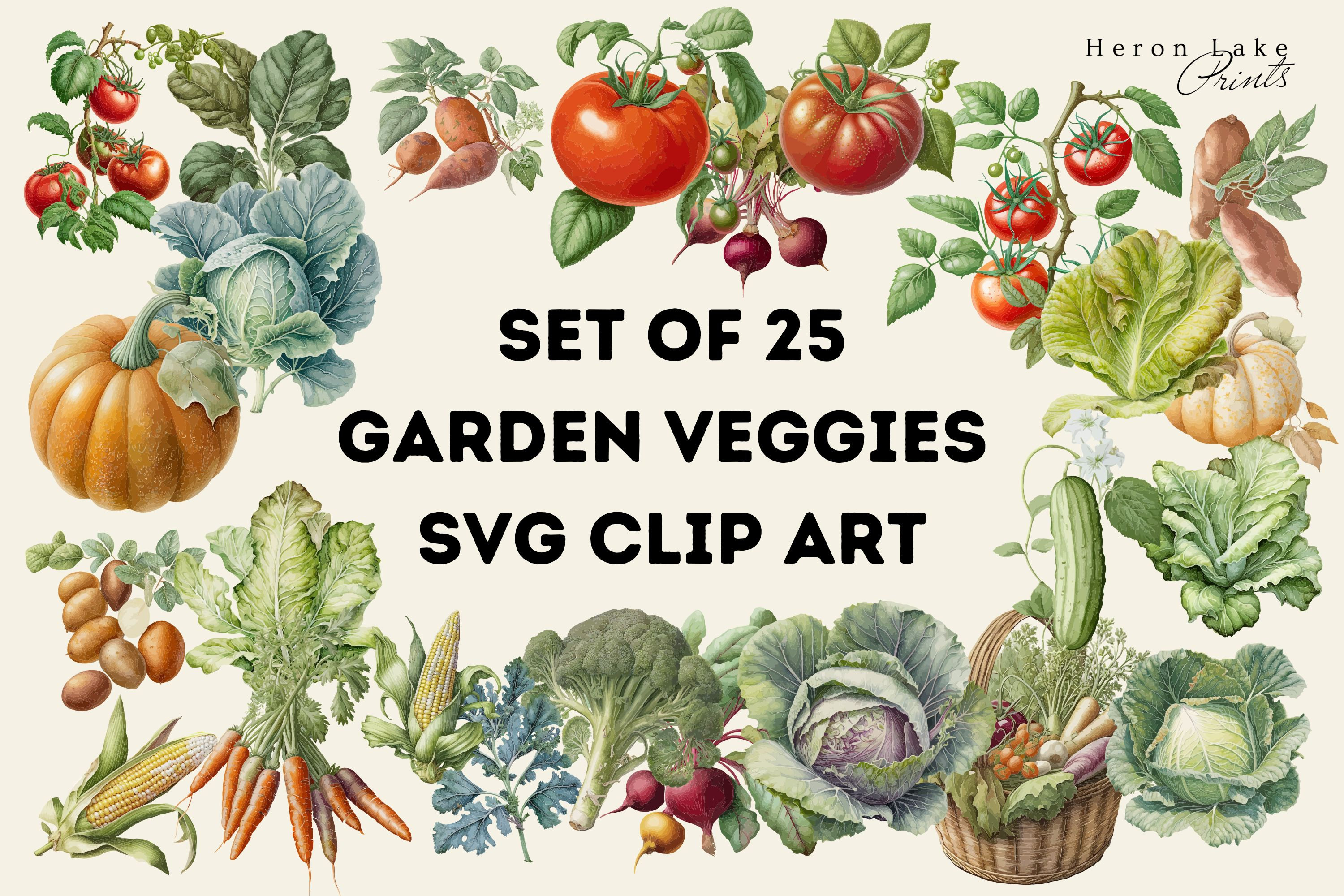 その他 VINTAGE CALIFORNIA FREE FORM VEGETABLE その他 VINTAGE CALIFORNIA FREE FORM VEGETABLE VINTAGE CALIFORNIA