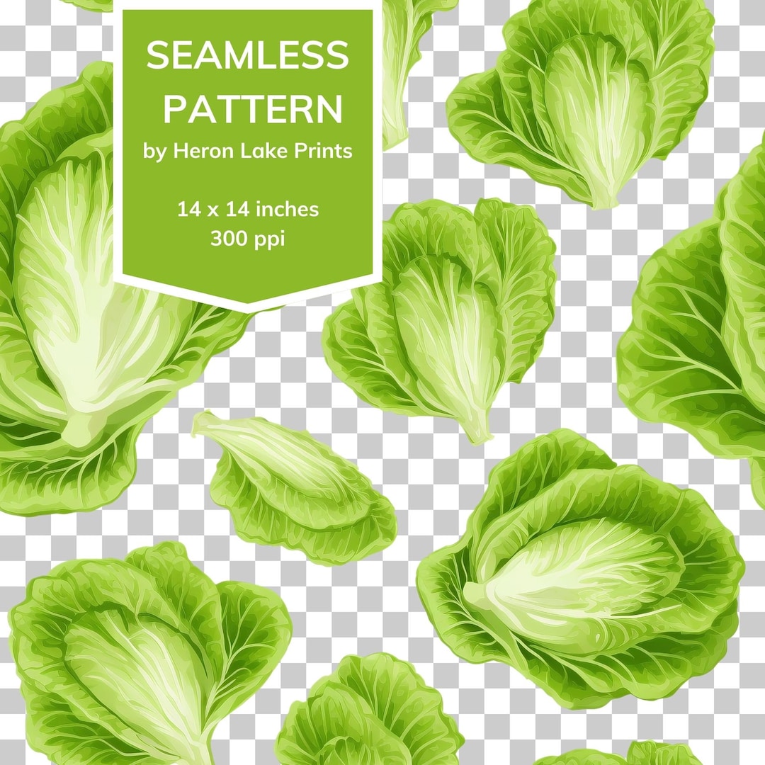 Romaine Lettuce PNG, Seamless Repeat Pattern Tile With Transparent ...