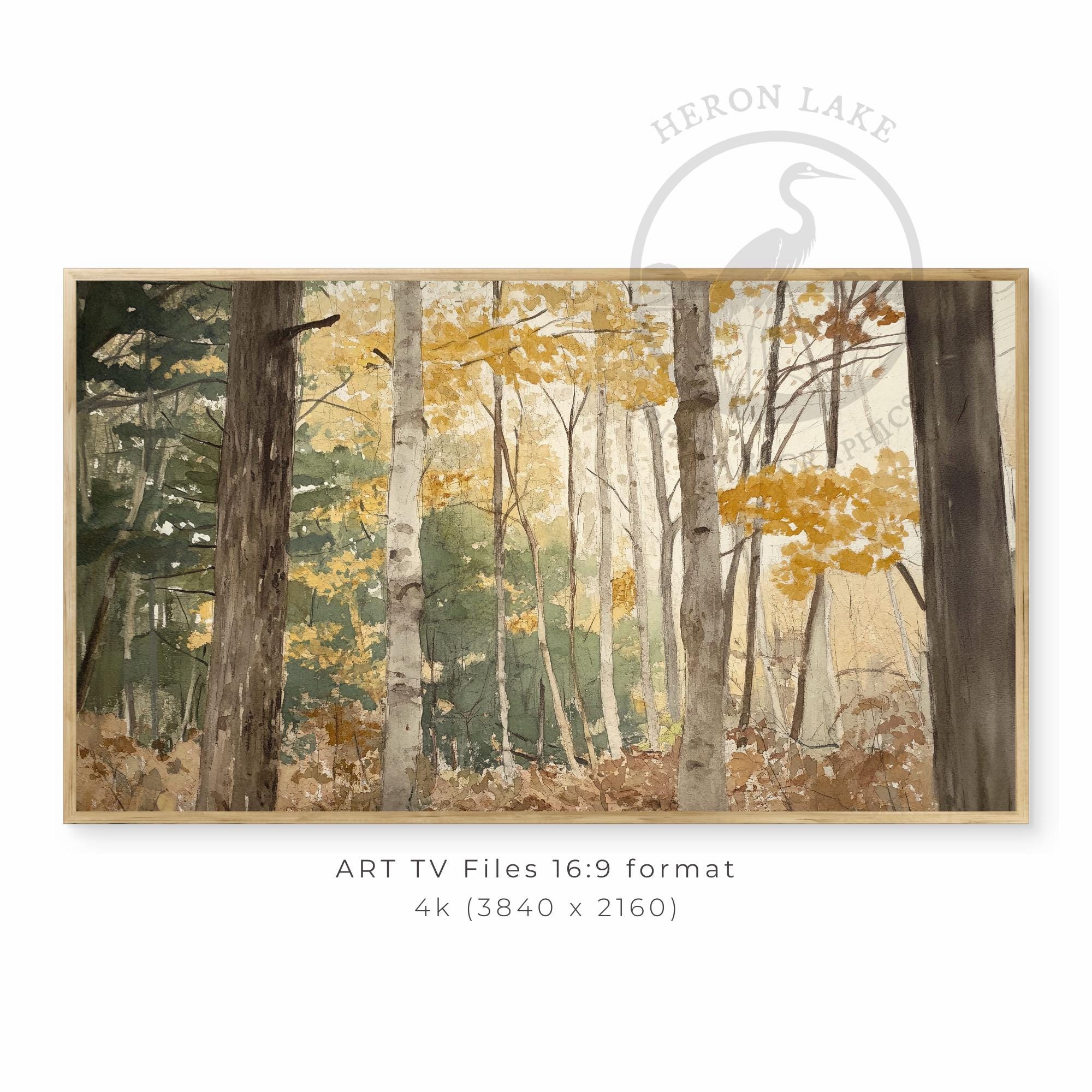 秋の白樺林の水彩画（テレビ用）（デジタルダウンロード） - Etsy 日本