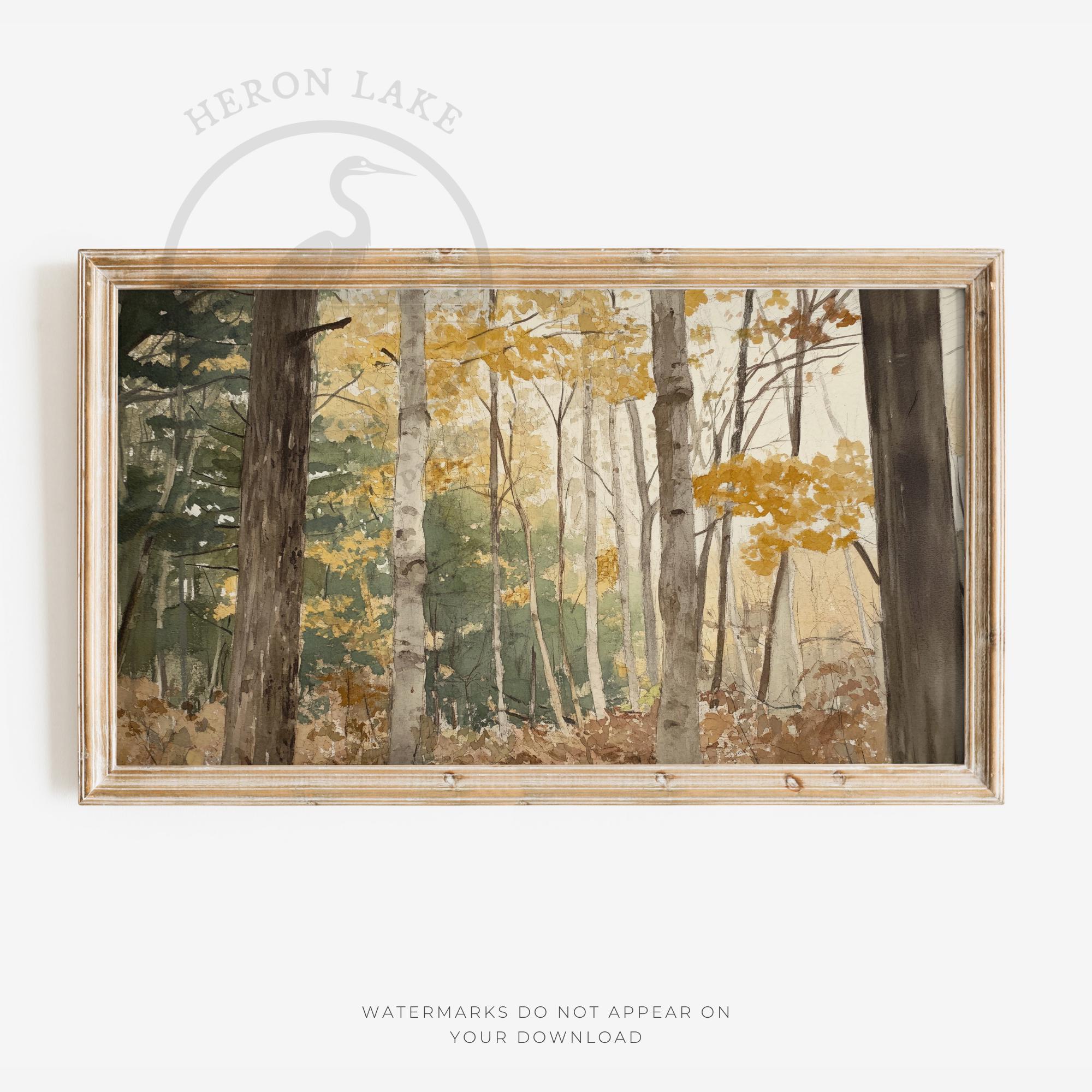 秋の白樺林の水彩画（テレビ用）（デジタルダウンロード） - Etsy 日本