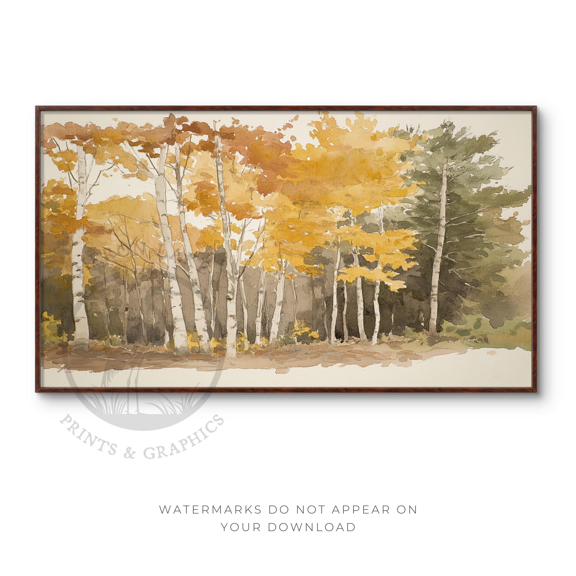 秋の白樺林の水彩画（テレビ用）（デジタルダウンロード） - Etsy 日本
