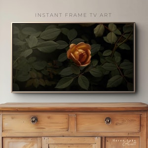 May include: A single, pale orange rose blooms against a backdrop of dark green leaves. The rose is in focus, while the leaves are blurred, creating a soft, dreamy effect.