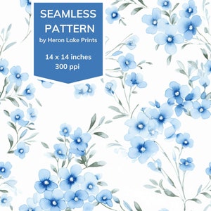 Forget-Me-Nots II Shabby Chic, motif floral répété sans couture, style cottagecore féminin, pour POD, usage commercial, conception de tissu girly
