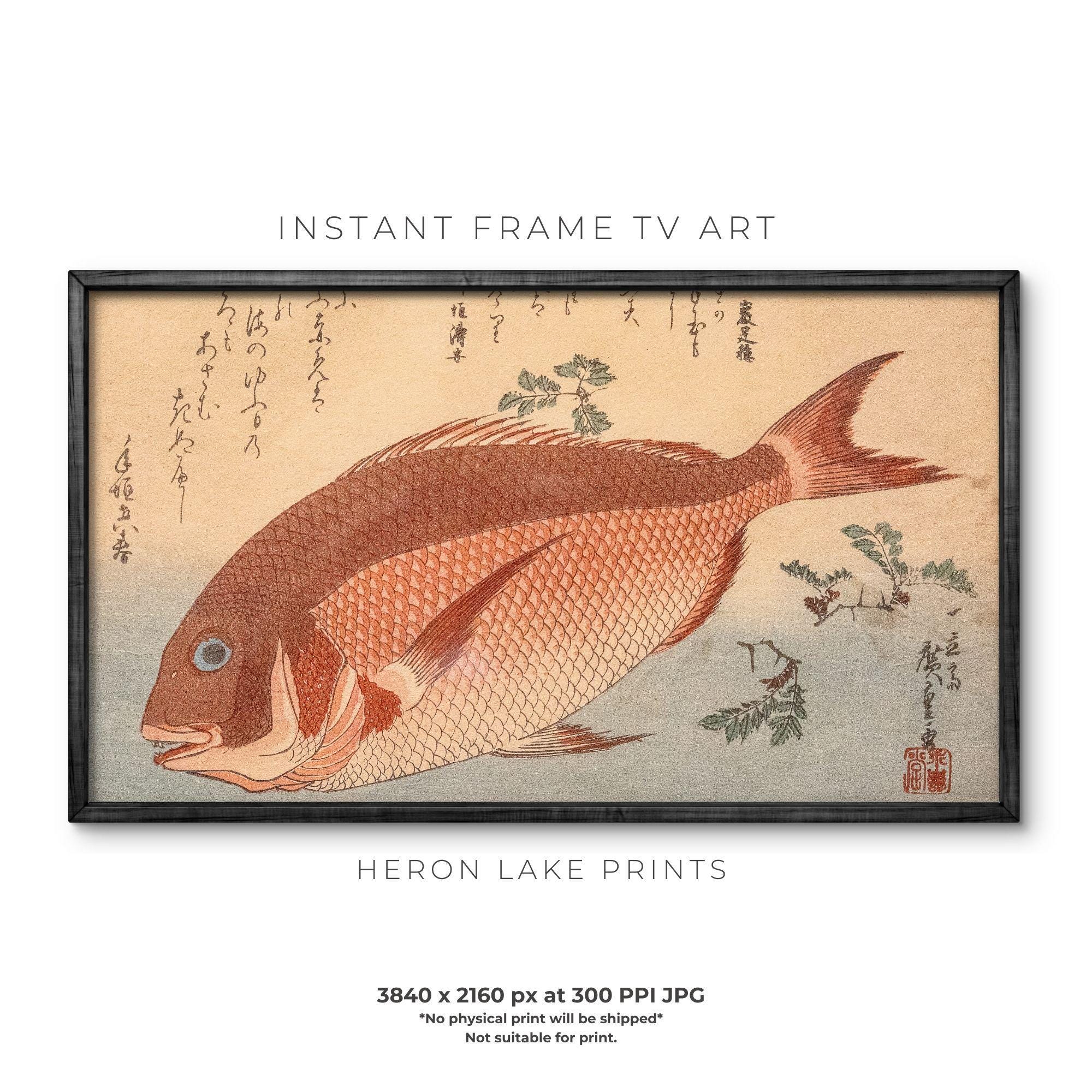 (直筆サイン入り) Fish coup d'etat 勇気のない魚たち 美品 Orange Fish Woodblock Print: Vintage Japanese Art for Frame TV