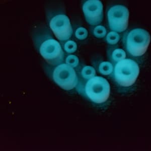 May include: A close-up of a group of glowing blue rings arranged in a circular pattern. The rings are made of a translucent material and are illuminated from within, creating a soft, ethereal glow.