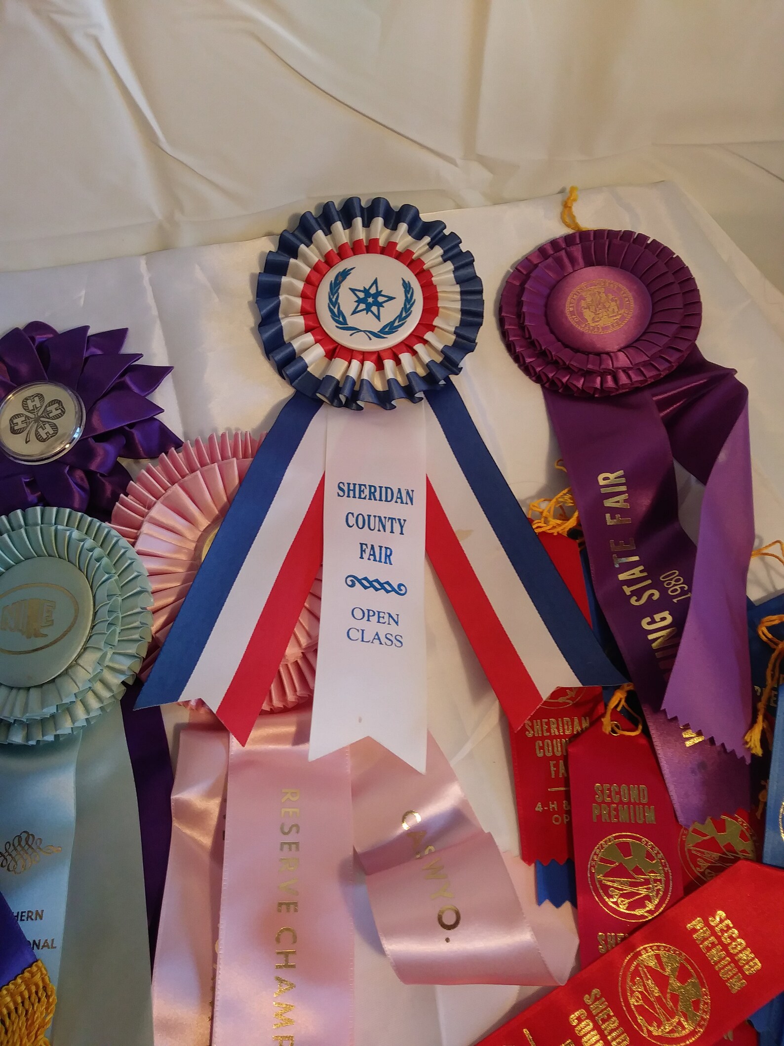 Huge lot of 4h/state fair ribbons Etsy