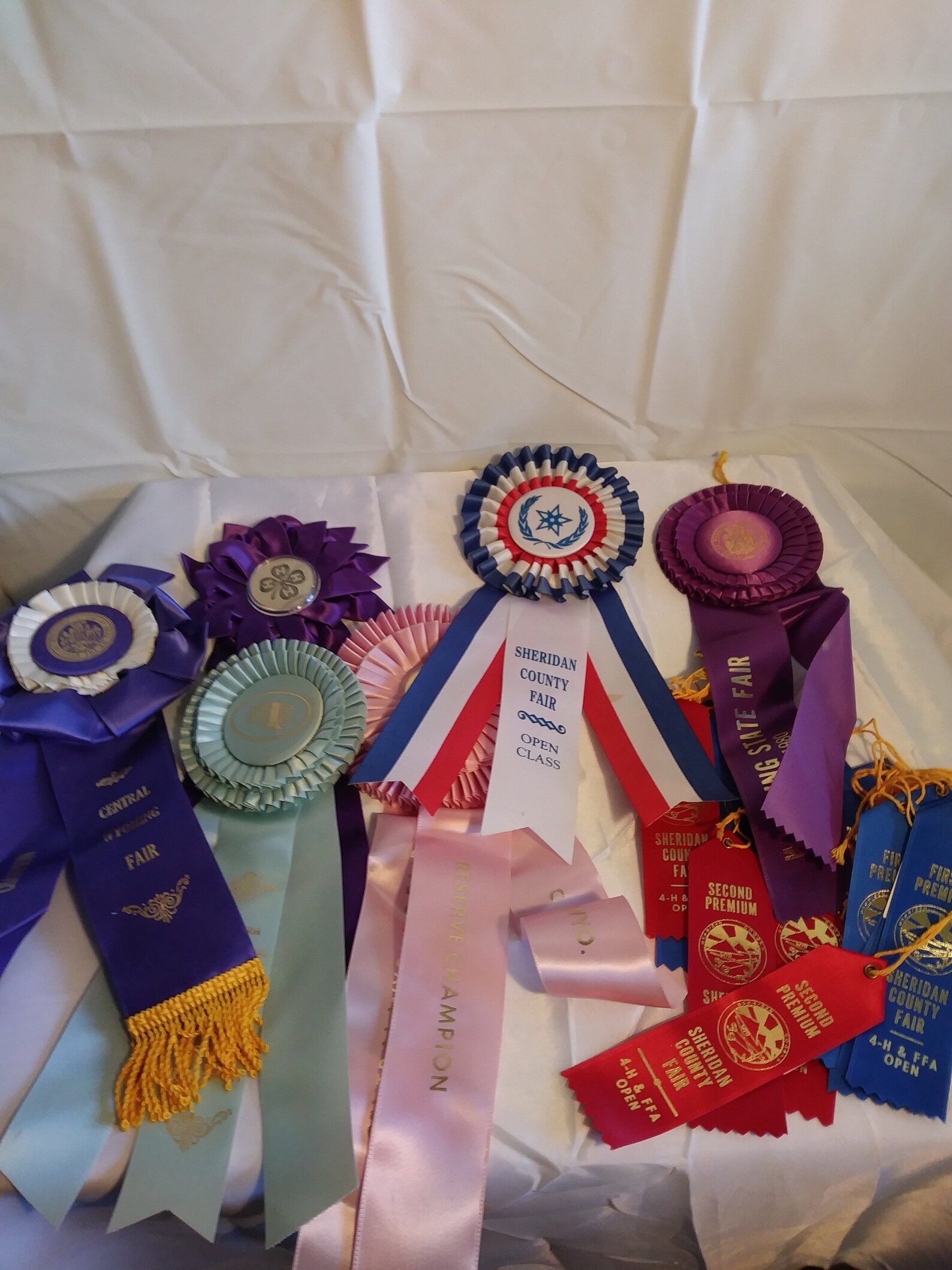Huge lot of 4h/state fair ribbons Etsy