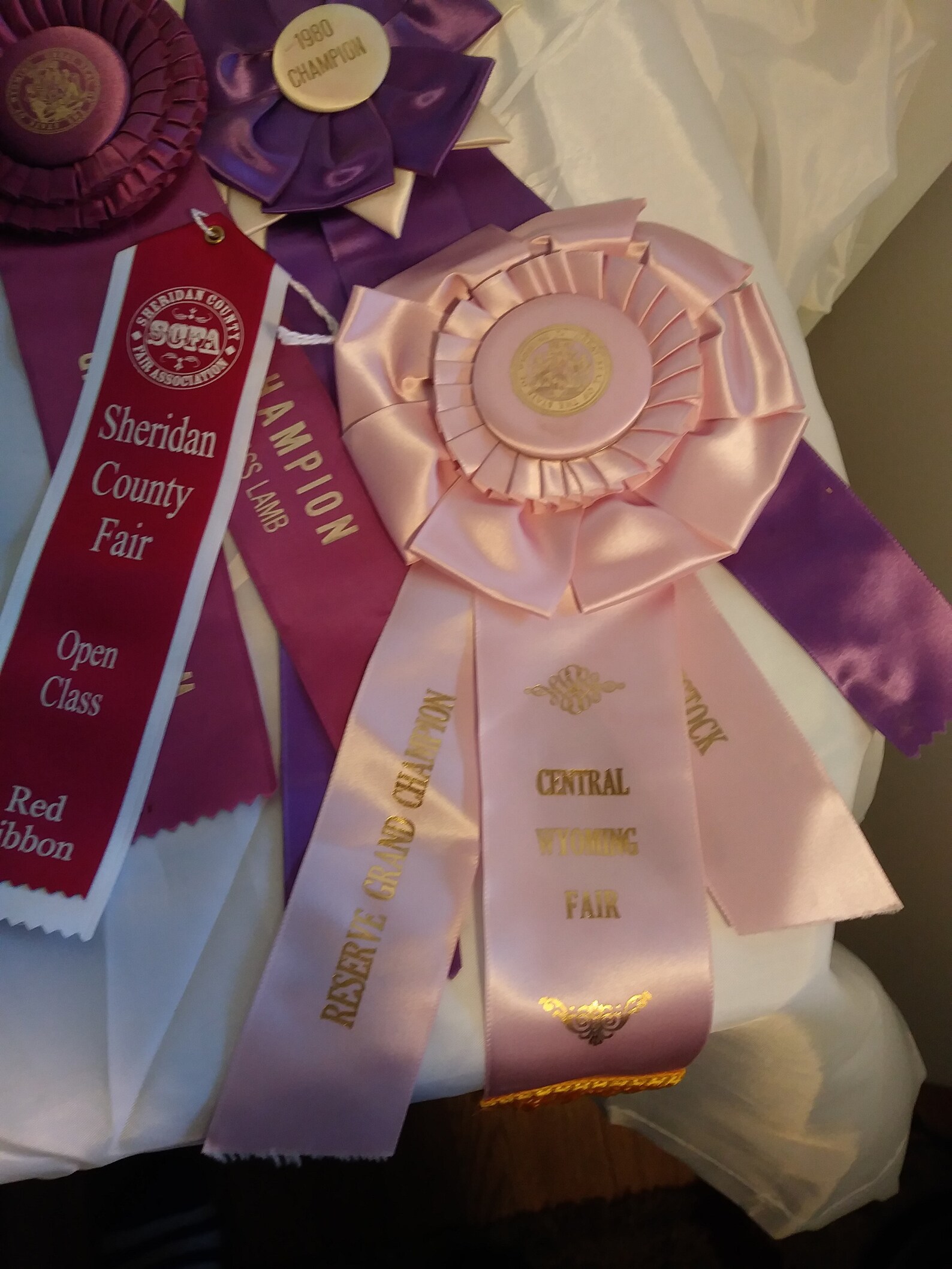 Huge lot of 4h/state fair ribbons Etsy