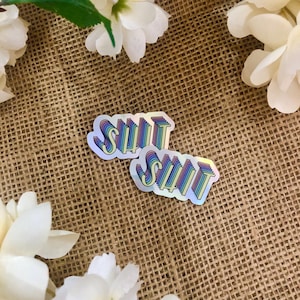 HOLOGRAPHISCHE STICKER - Shit Mini Lustiger Gag Schimpfwort Sticker: