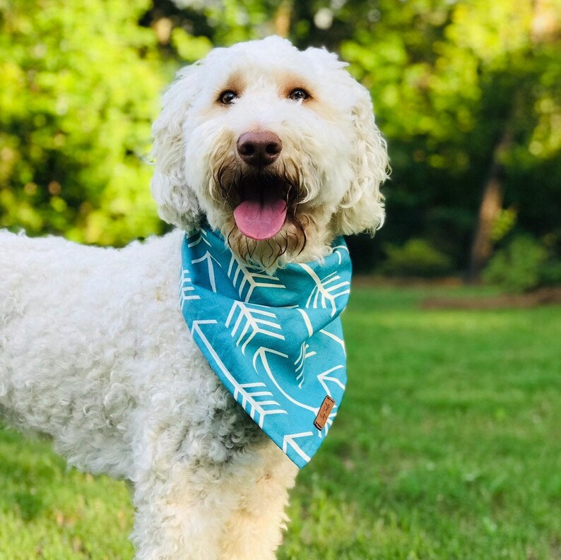 Turquoise Arrow Dog Bandana Over The Collar Dog Bandana Etsy