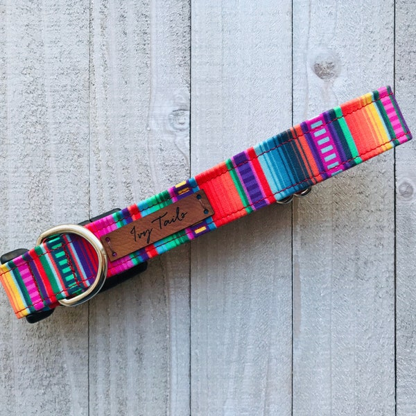 Serape Dog Collar - Dog Collar