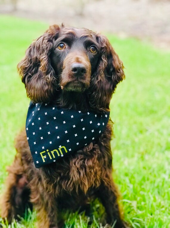 black and white dog bandana